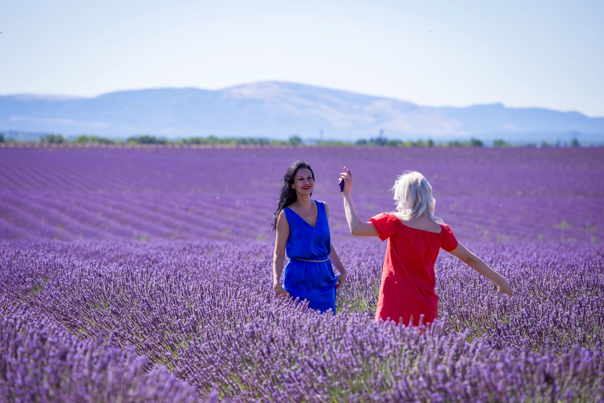 Summer in Provence: Lavender Season & Best Day Trips | Lavandins